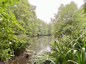 Lake- click for photo gallery